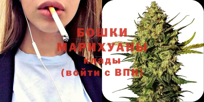 Канабис White Widow  где купить наркотик  Бабушкин 